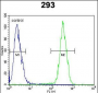 CLPX Antibody (C-term)